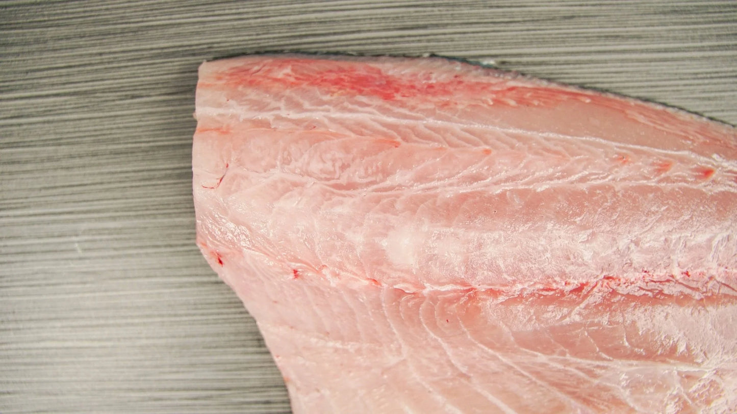 Hawaiian Kanpachi Fillet 1 lbs