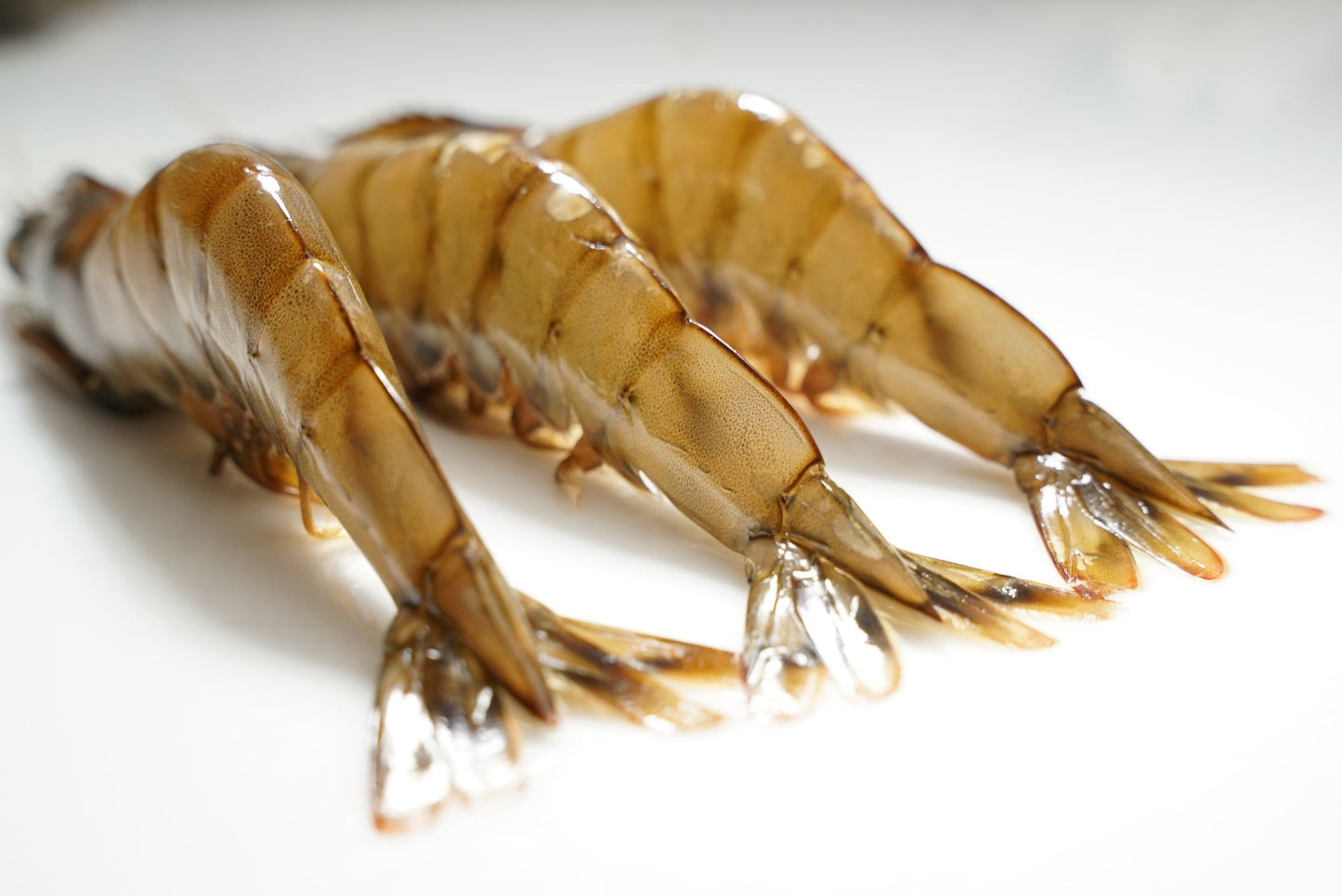 Kauai Saltwater Sweet Prawns