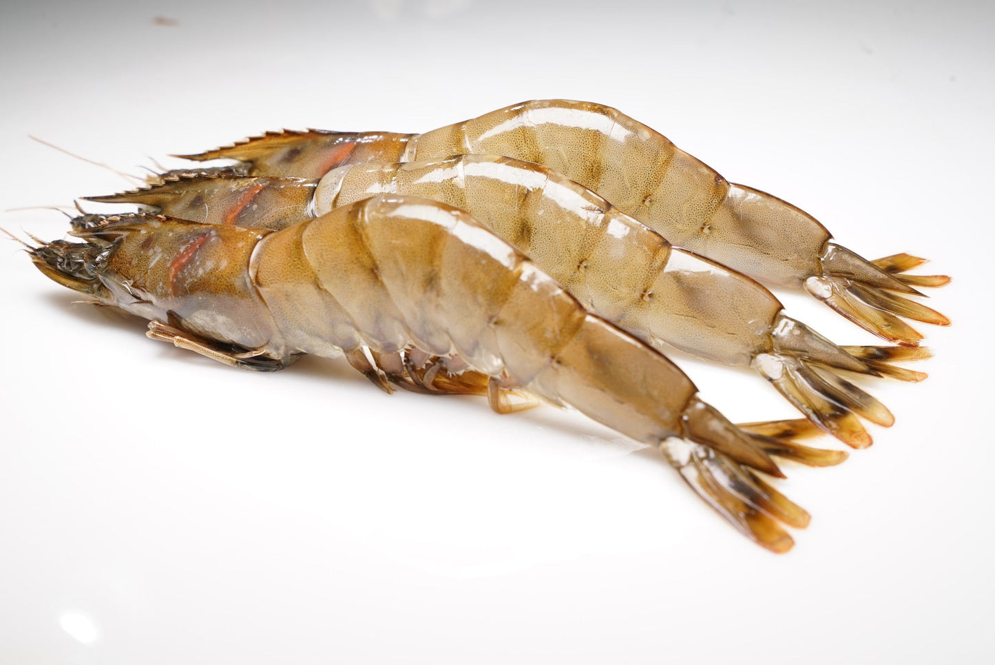 Kauai Saltwater Sweet Prawns