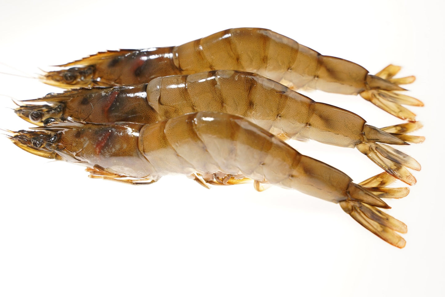 Kauai Saltwater Sweet Prawns