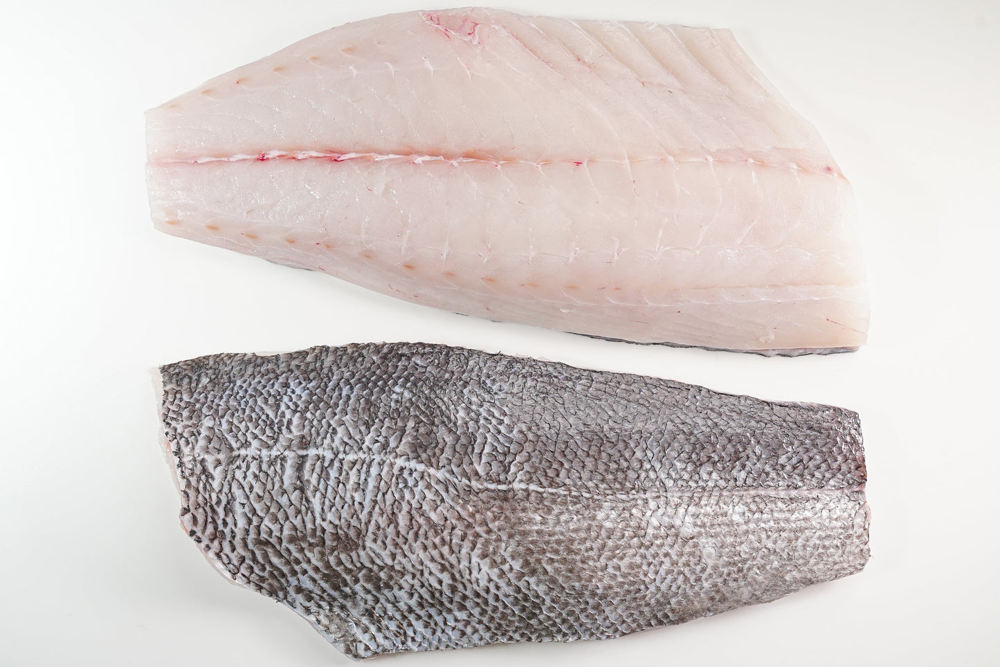 Blue Snapper (Scaled) Large Fillet