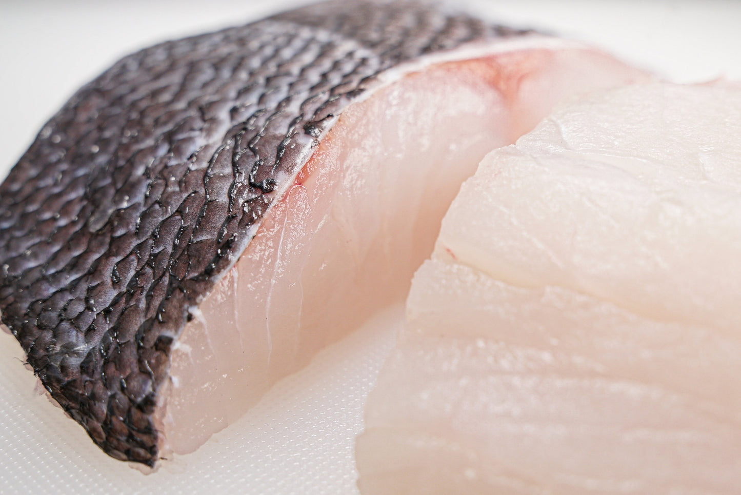 Blue Snapper (Scaled) Large Fillet